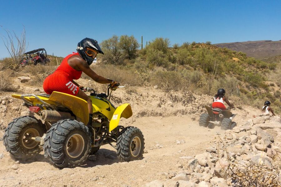 Sonoran Desert: Guided UTV or ATV Desert Tour - What you’ll see: Saguaro, flash-flood canyons, and real desert wildlife