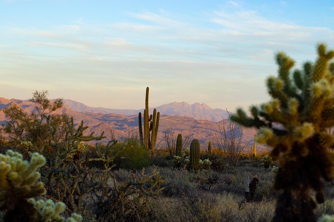 Sonoran Desert Jeep Tour at Sunset - The Jeep ride: what low-speed, bumpy terrain really means