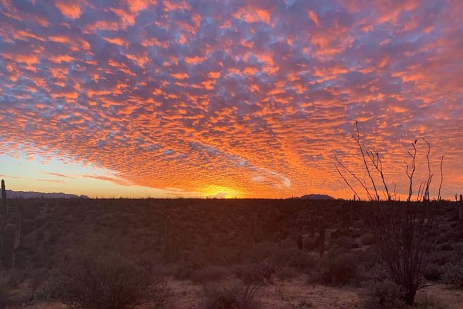 Sonoran Desert: Sunset Jeep Tour with Tonto National Forest - Pinnacle Peak Park and Reata Pass: landmarks with real local flavor