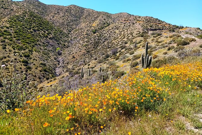 Sonoran Desert To MountainTop Jeep Tour minutes from Scottsdale - Carefree Sundial start: simple meet-up with time to breathe