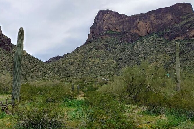 Southern Arizona Full-Day Historical Tour from Phoenix - Private Tour - Tumacacori National Historical Park: A Calmer Mission Walk Inside the Walls