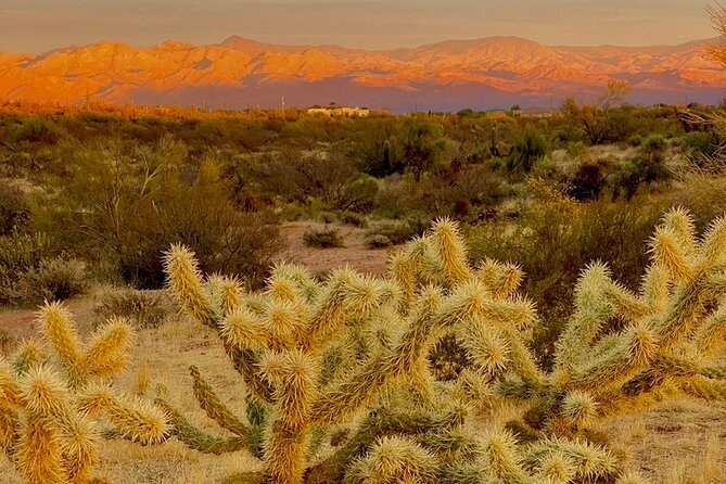 Spectacular Sunrise Guided Hike in Phoenix, Arizona - Difficulty: easy to moderate, but don’t ignore the climb