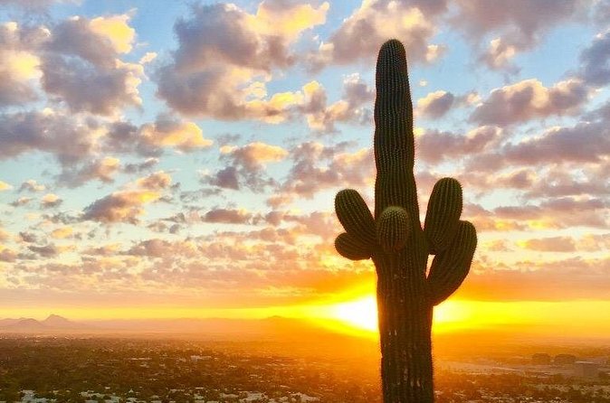 Spectacular Sunrise Guided Hike in Phoenix, Arizona - Logistics that matter: private group, English, and the meeting point