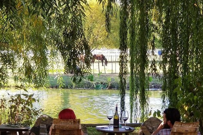 Vineyard Wine Tasting Tour - Quick Take: What You’ll Notice First