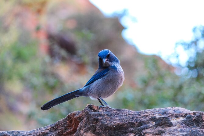 Wilderness Hiking Tours - Key highlights that matter before you book