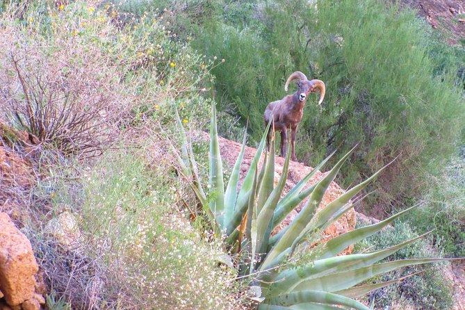 Wilderness Hiking Tours - Superstition Mountains, just outside Phoenix and Scottsdale